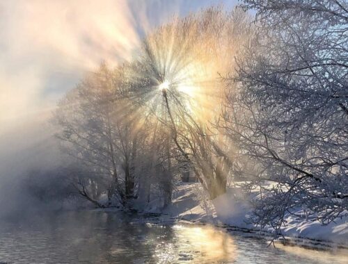 в ожидании весны